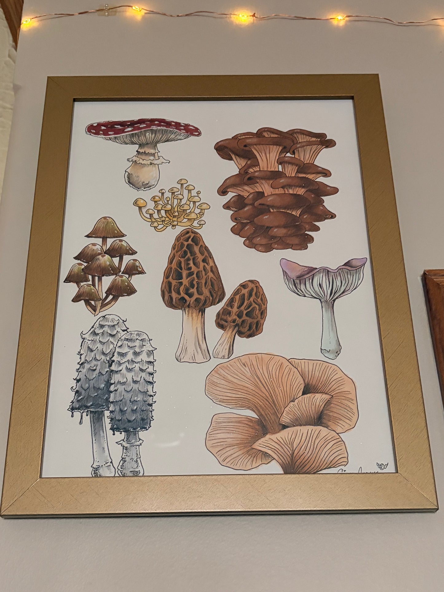 ORIGINAL 9 x 12 Mushroom Study signed/framed Illustration