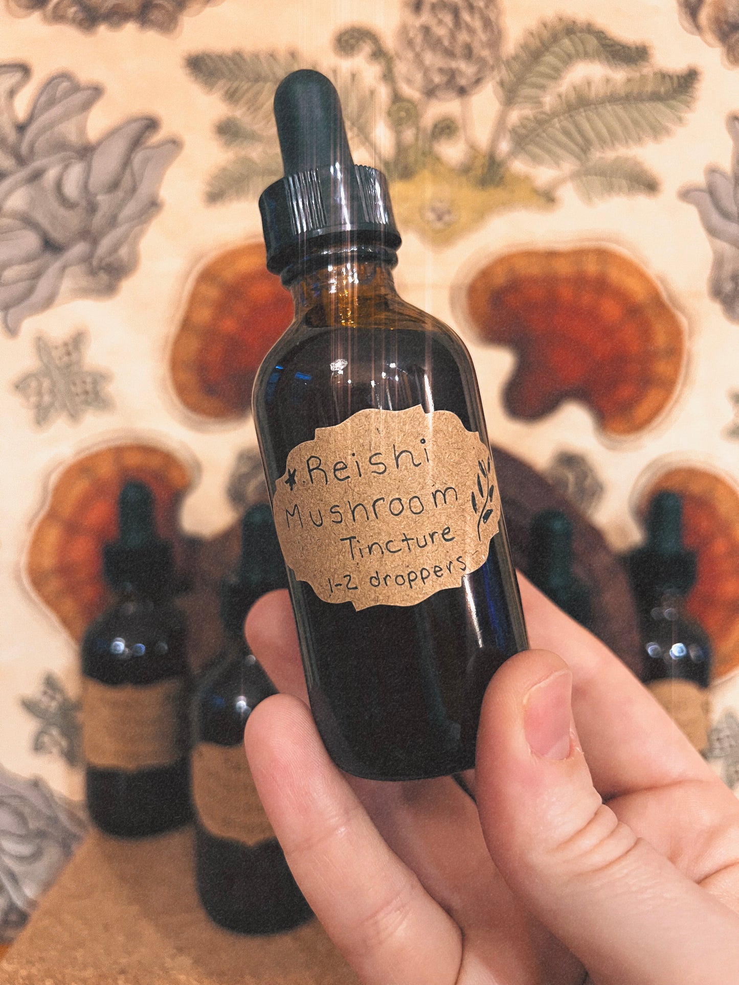 Reishi Mushroom Tincture