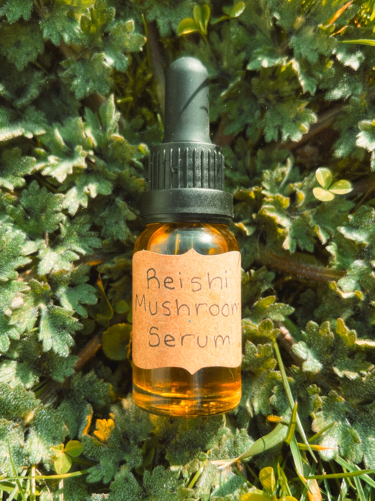 Reishi Mushroom Facial Serum