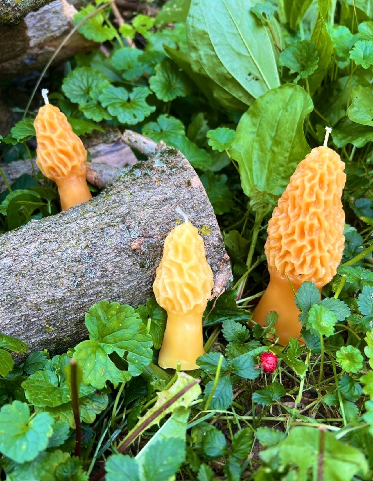 Morel Mushroom Ritual Candle