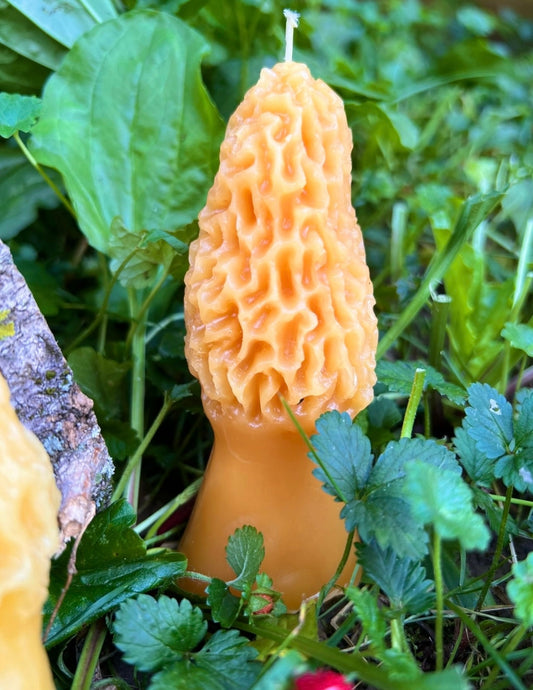 Morel Mushroom Ritual Candle