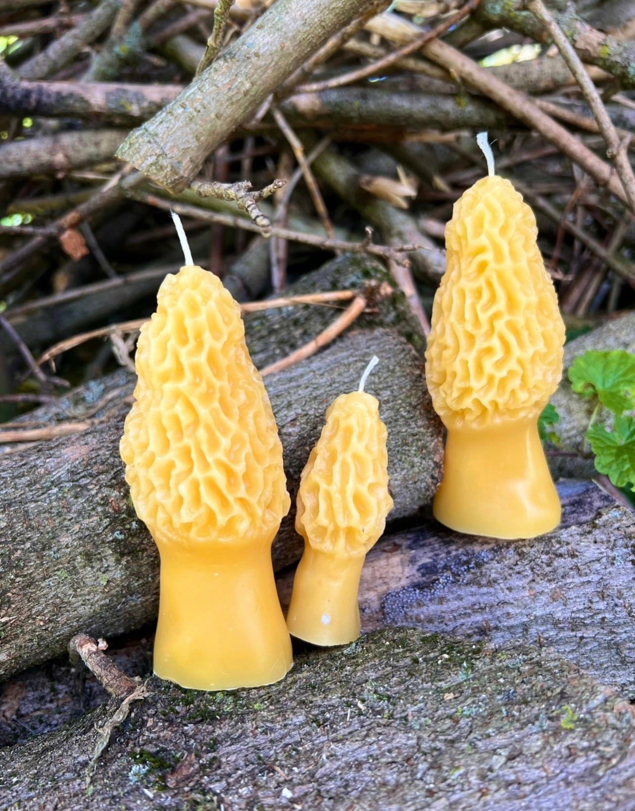 Morel Mushroom Ritual Candle