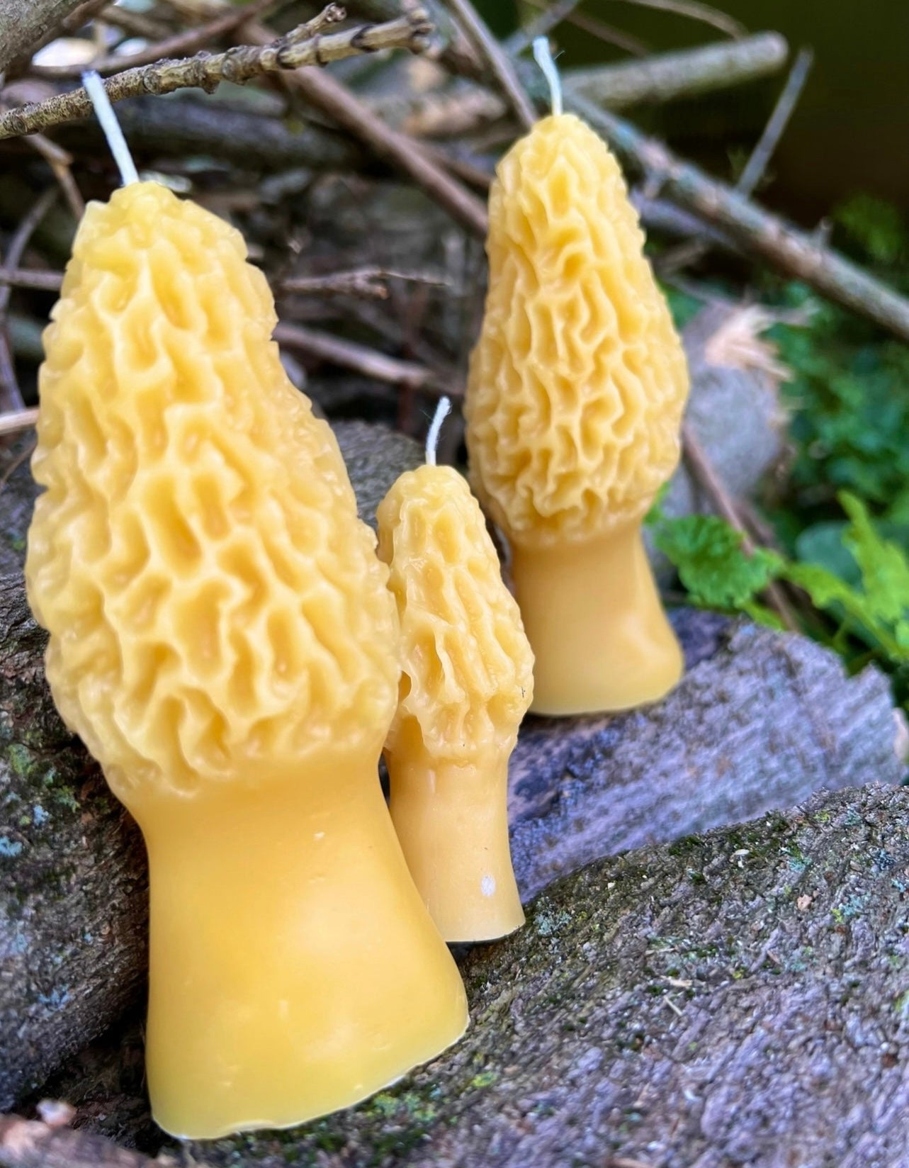 Morel Mushroom Ritual Candle