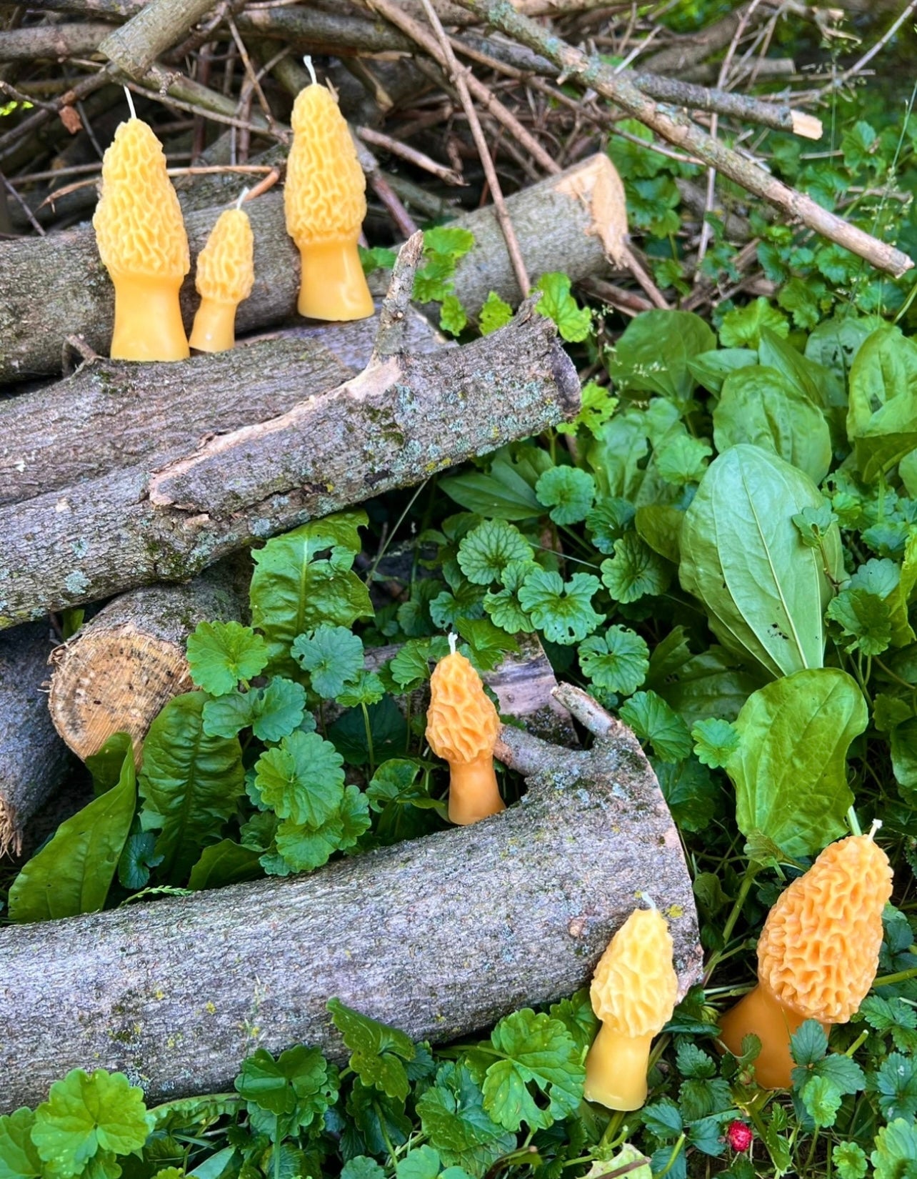 Morel Mushroom Ritual Candle