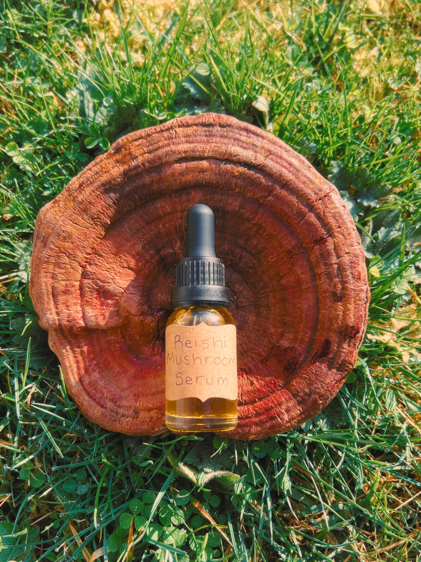 Reishi Mushroom Facial Serum