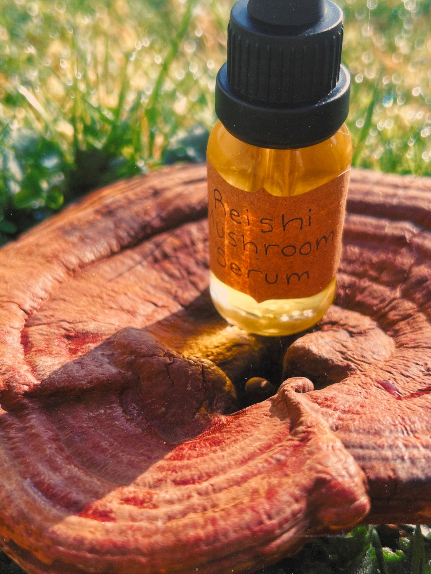 Reishi Mushroom Facial Serum