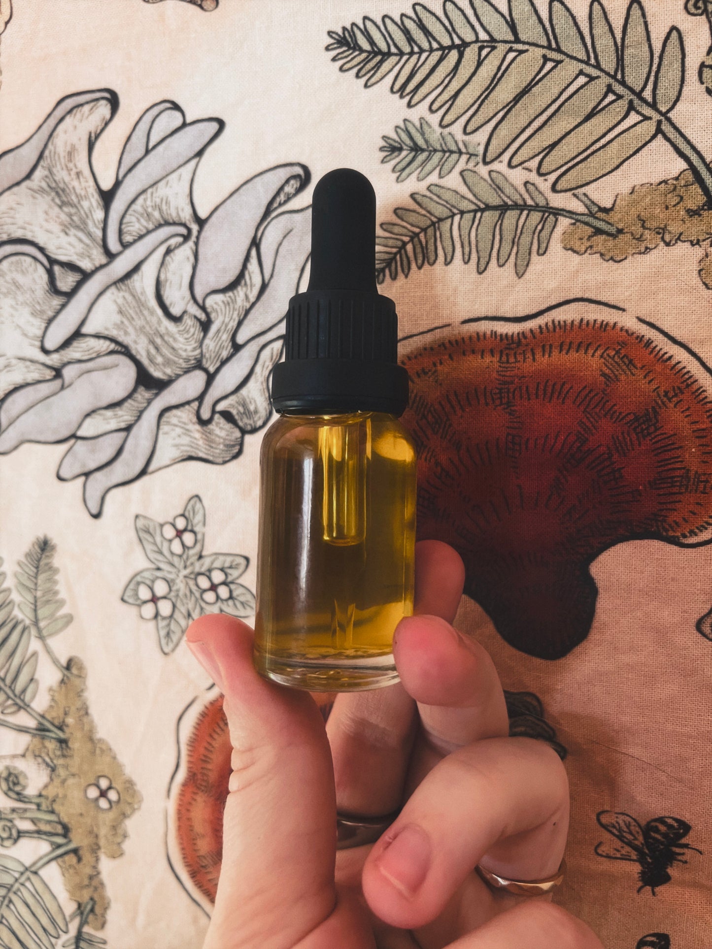 Reishi Mushroom Facial Serum