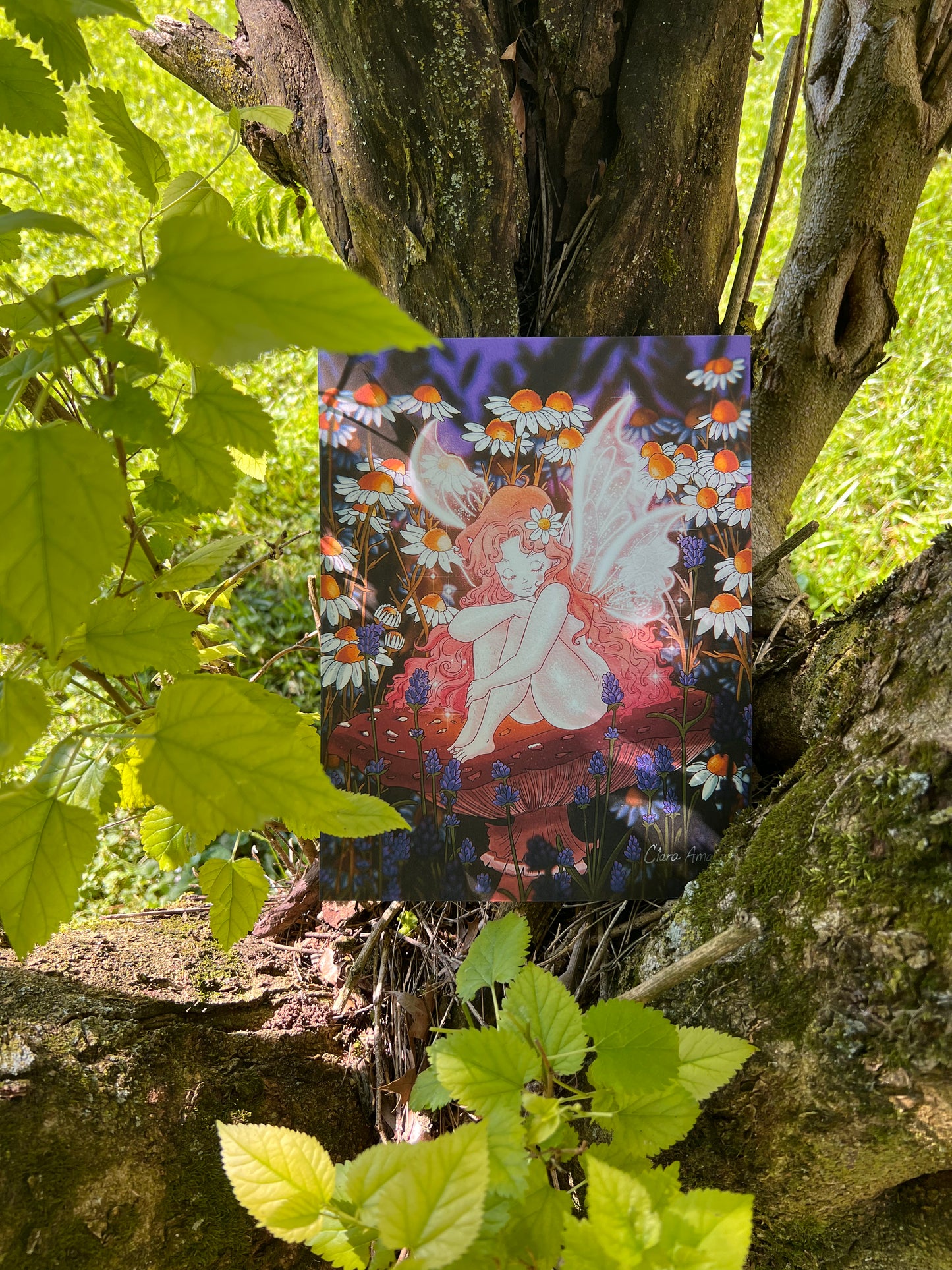 LIMITED “Relaxing Fairy” 8.5” x 11” Signed Print